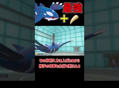 最強の持ち物を持った カイオーガ