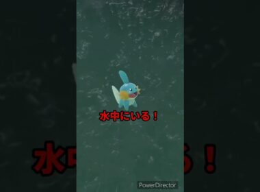 【ポケモンバイオレット】そっか！ミズゴロウって泳げるのか　#ポケモンバイオレット #ゲームリハビリ #切り抜き #shorts
