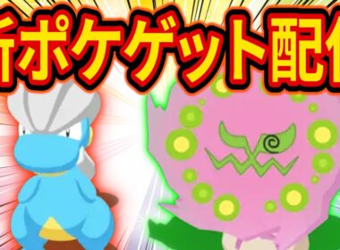 ポケスリ料理ウィークで最強のミカルゲとタツベイをゲットする睡眠リサーチ配信【ポケモンスリープ】