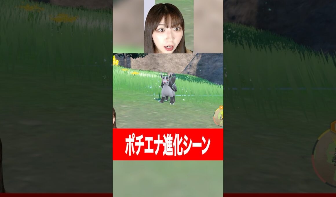 ポチエナ→グラエナ進化シーン反応 #sakuraのゲーム実況チャンネル #ポケモン #切り抜き