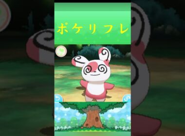 ポケモン パッチール ポケリフレ ポケパルレ #ポケモン #Pokemon  #3DS #ポケモン技 #ポケモンsv #ポケモン #ふれあい #キャンプ #カレー #サンドイッチ #ピクニック