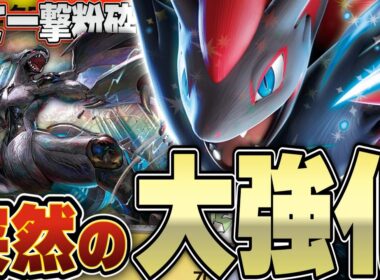 【ポケカ/対戦】Nのゼクロム登場でゾロアークexが最強デッキに昇格！！今までになかった破壊力をご覧あれ！！！