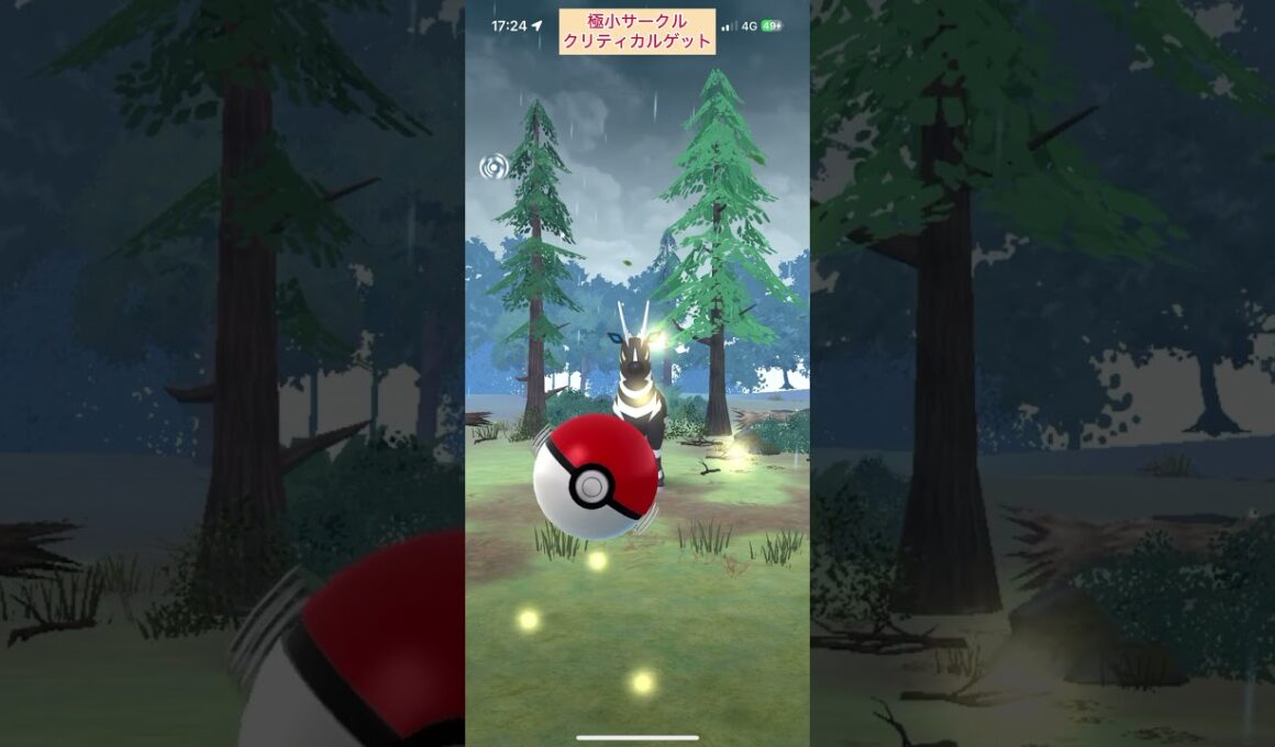 【難易度低】ゼブライカ極小サークルクリティカルゲット【ポケモンGO