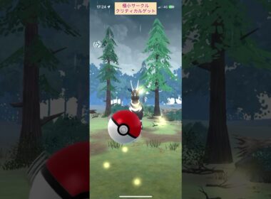 【難易度低】ゼブライカ極小サークルクリティカルゲット【ポケモンGO