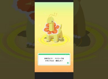 【Pokémon SLEEP】 Shiny Bayleef → Meganium Evolve 🔥