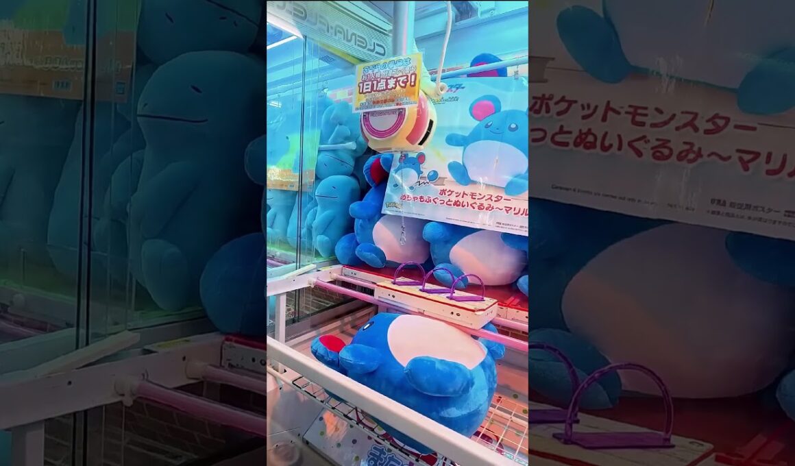 野生のマリルが現れた！ #ポケモン