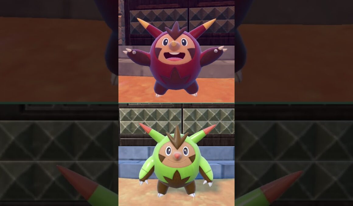 #ハリボーグ  #quilladin  #pokemonscarletandviolet