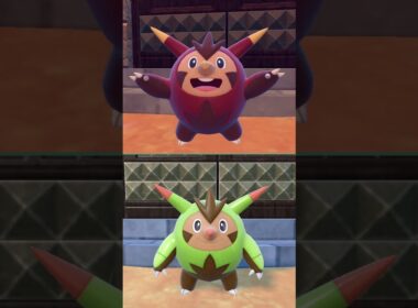 #ハリボーグ  #quilladin  #pokemonscarletandviolet