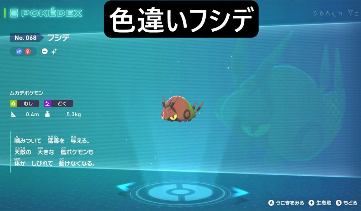 色違いフシデ ポケモンレジェンズZA Pokémon LEGENDS Z-A