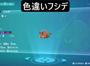 色違いフシデ ポケモンレジェンズZA Pokémon LEGENDS Z-A