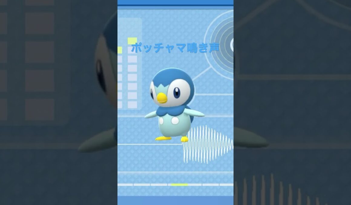BDSP【シンオウ図鑑NO007】ポッチャマ鳴き声#ポケモン鳴き声 #図鑑コンプ #ブリリアントダイヤモンド #シャイニングパール#ポケモン生態#第四世代鳴き声#Piplup