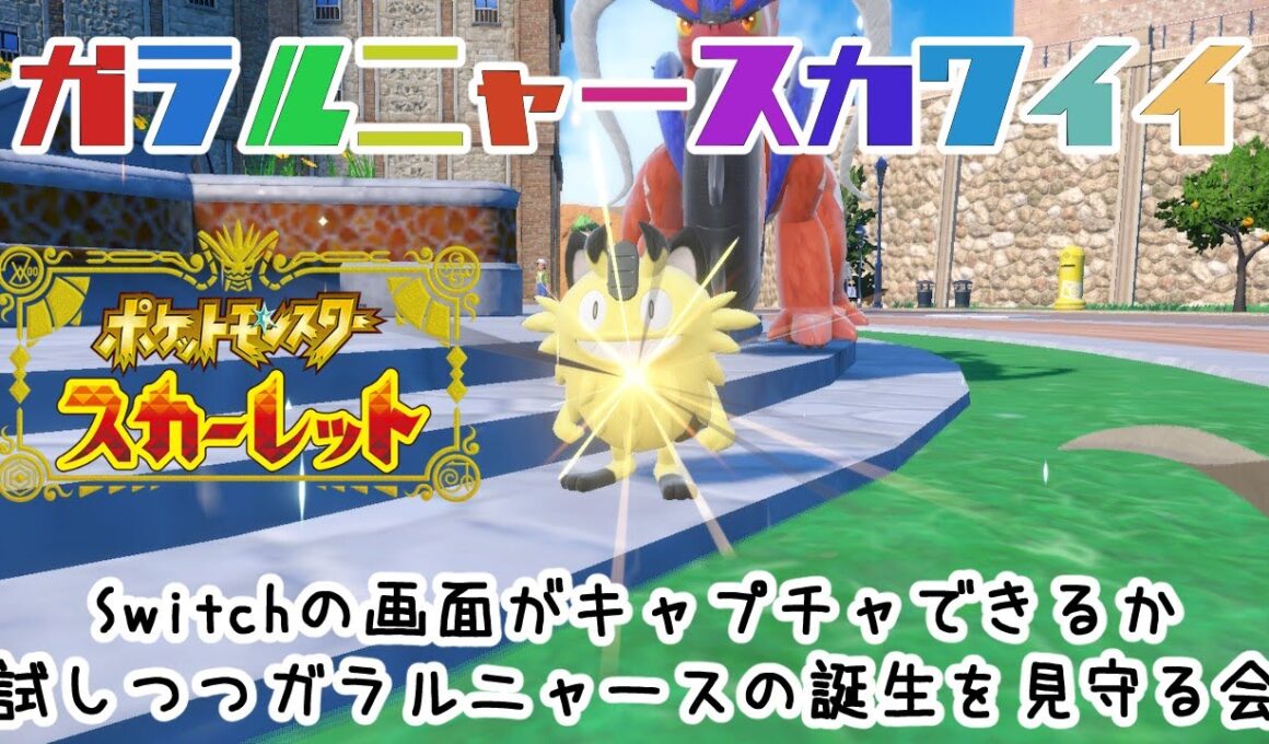 【ポケモンスカーレット】ガラルニャースを見る会【ほぼ雑談】