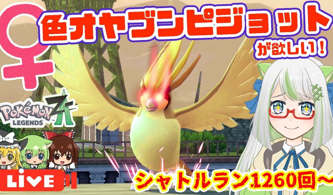 推し鳥ポケのピジョットさん、今日こそは♀色オヤブン光ってくれますよね･･･？🥺✨✨【ポケモン実況】 #ポケモン #色違い