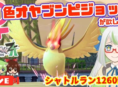 推し鳥ポケのピジョットさん、今日こそは♀色オヤブン光ってくれますよね･･･？🥺✨✨【ポケモン実況】 #ポケモン #色違い