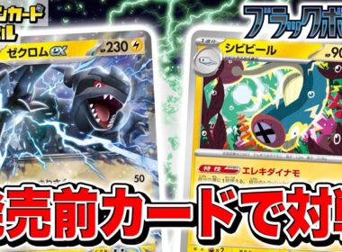 【発売前に対戦】圧倒的なパワーとスピード！ゼクロムexとシビビールを採用したデッキが強すぎる！？【ブラックボルト/ホワイトフレア/ポケモンカード/ポケカ】