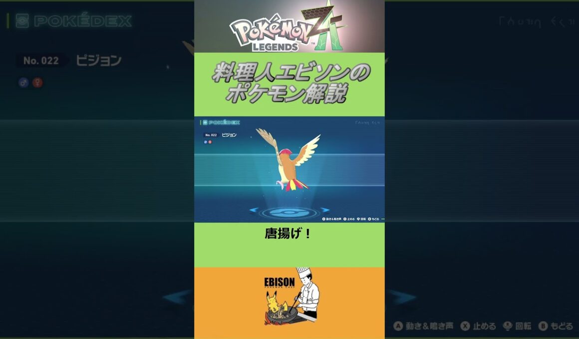 エビソンのポケモン解説186　#ポケモン #ポケモンza　#レジェンズ  #ピジョン