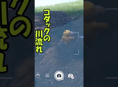 コダックの川流れ・・・？　#shorts #pokemon #ポケモン #ポケモンsv #コダック