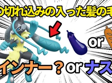 メガルカリオの「切れ込み」が入れられている髪の毛はナス？それともウインナー？【ポケモン解説】