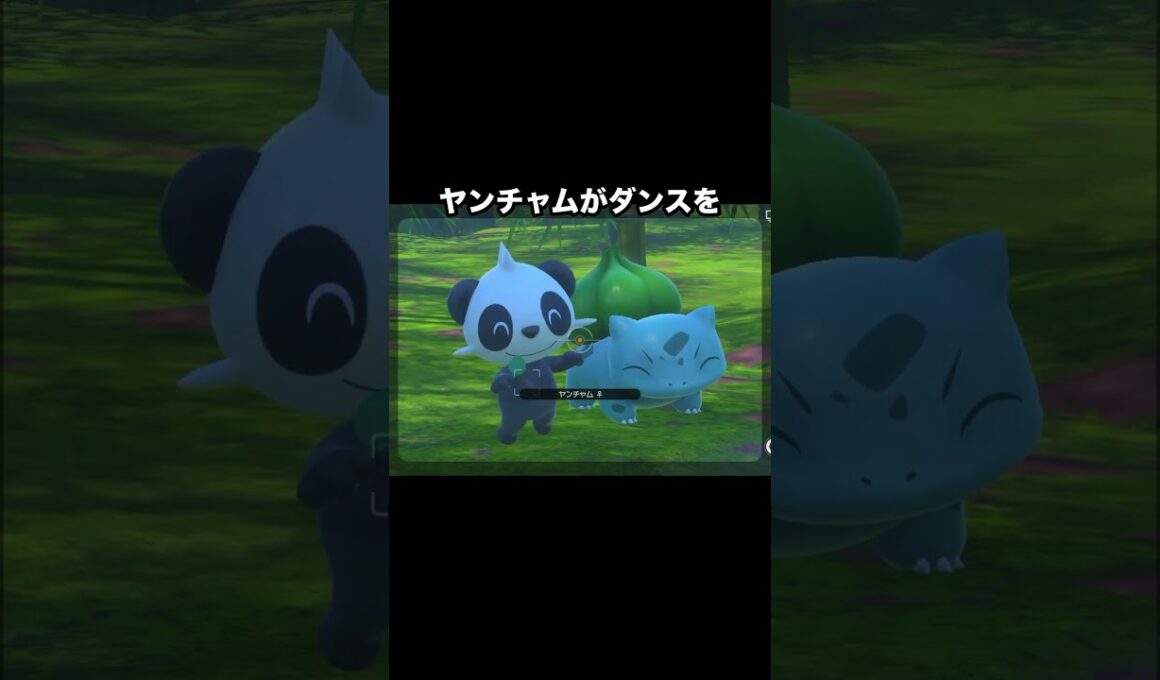 【ノリノリ🎵】音楽が大好きなヤンチャムとオーロット #ポケモン #newポケモンスナップ