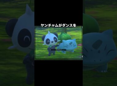 【ノリノリ🎵】音楽が大好きなヤンチャムとオーロット #ポケモン #newポケモンスナップ