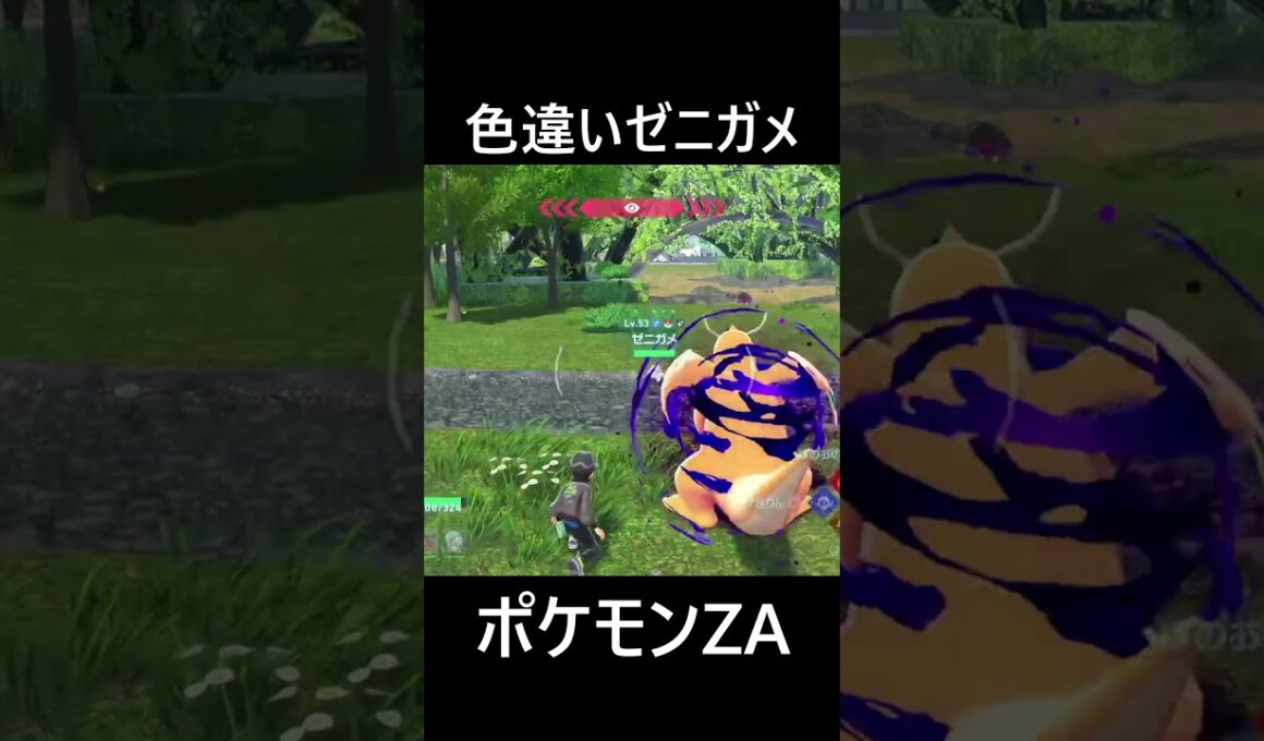 色違いゼニガメ ポケモンレジェンズZA Pokémon LEGENDS Z-A #shorts #ポケモン
