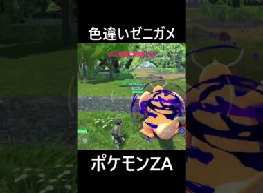 色違いゼニガメ ポケモンレジェンズZA Pokémon LEGENDS Z-A #shorts #ポケモン