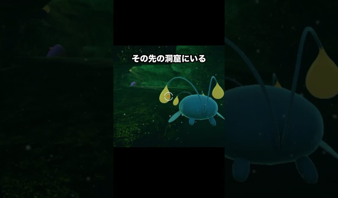 【チョンチー5兄弟】洞窟に隠されたチョンチーの家 #ポケモン #newポケモンスナップ