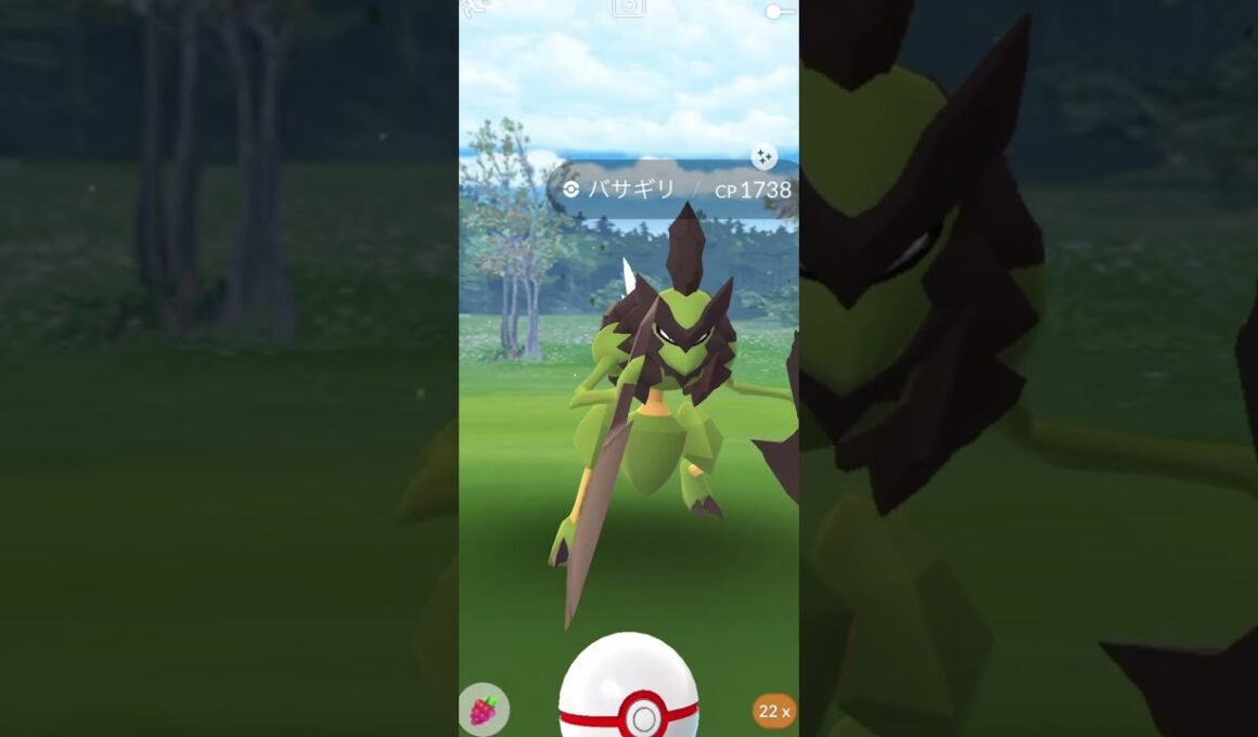 ゲットした色違いバサギリが個体値マックスだと信じ続けるサラリーマン