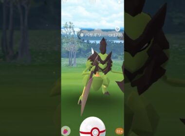 ゲットした色違いバサギリが個体値マックスだと信じ続けるサラリーマン