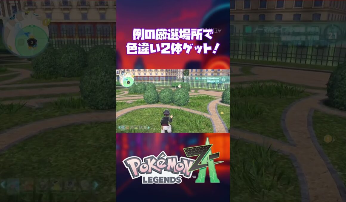 『Pokemon LEGENDS Z-A（ゼットエー）』色違いオヤブンヤンチャムを捕まえた‼︎ #PokemonLegendsZA #色違い#pokemonlegendsza #ポケモン