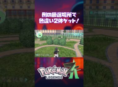 『Pokemon LEGENDS Z-A（ゼットエー）』色違いオヤブンヤンチャムを捕まえた‼︎ #PokemonLegendsZA #色違い#pokemonlegendsza #ポケモン