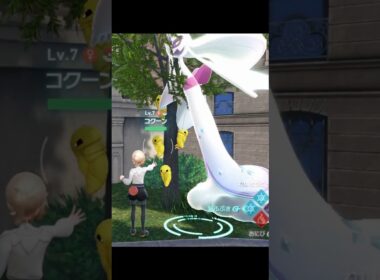 【ポケモンZA】メガユキメノコの色違いが最高に素敵な理由【ポケモンレジェンズZA】