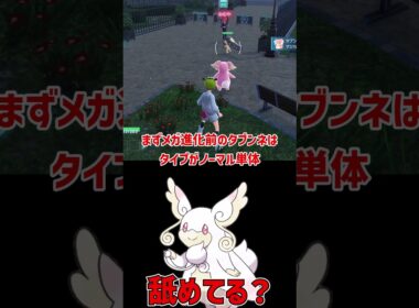 何故か誰も使わない メガタブンネ