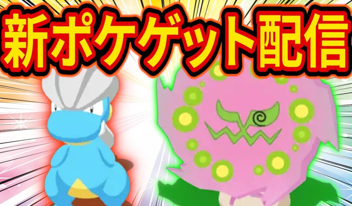 ポケスリ料理ウィークで最強のミカルゲとタツベイをゲットする睡眠リサーチ配信【ポケモンスリープ】