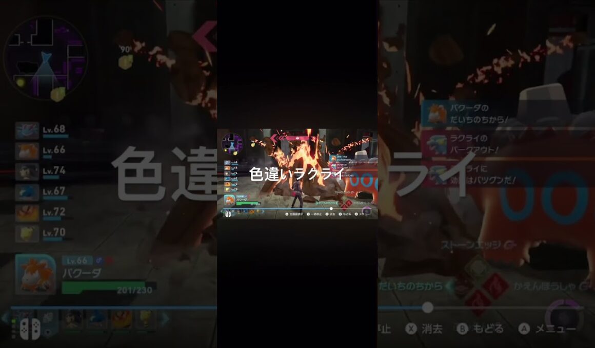 Pokémon LEGENDS Z-A　色違いラクライ出現！ #ポケモン #pokémon