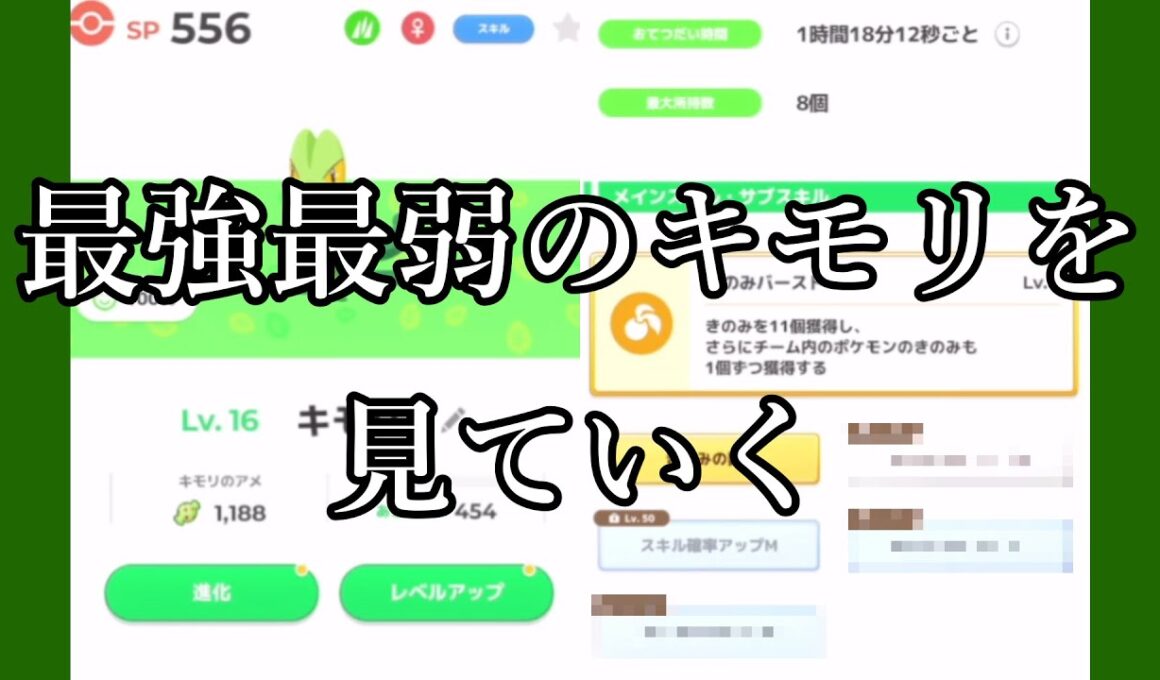 きのみSスキル確率アップがあるキモリ勿論最強であるはずだが【ポケスリ】