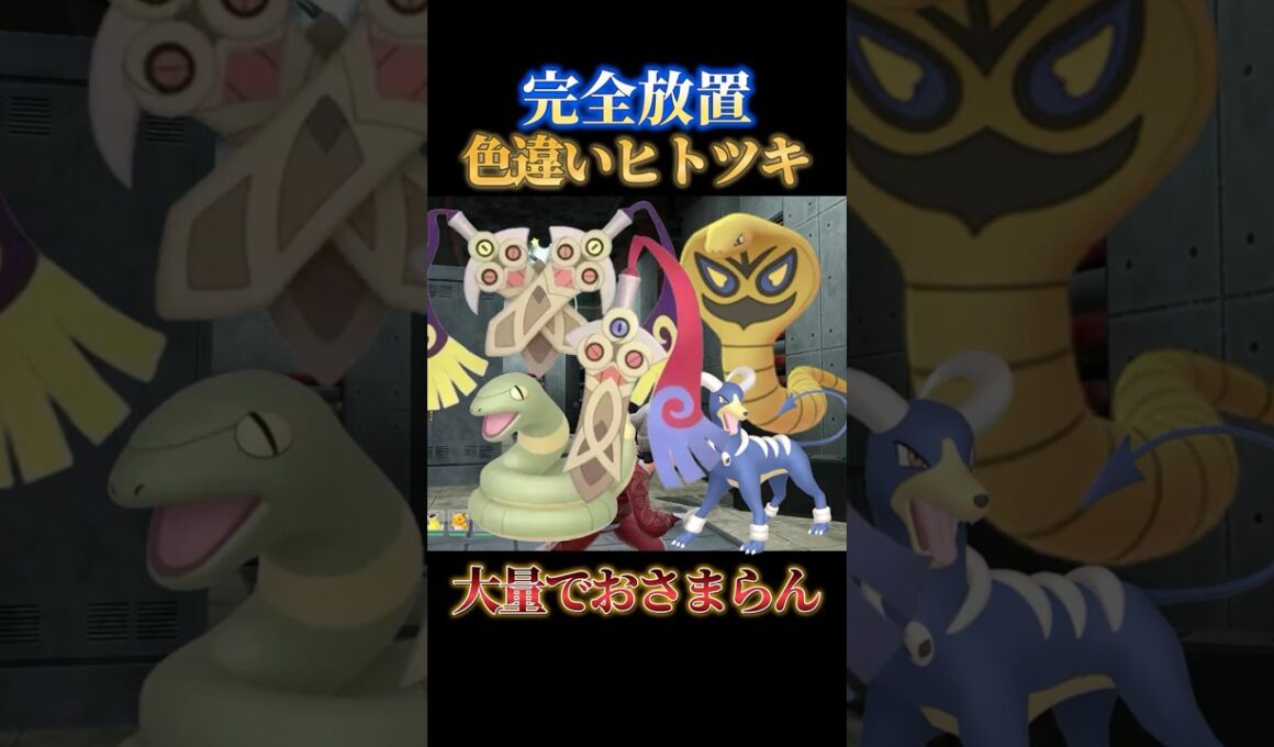 【出過ぎ注意】色違いヒトツキ、アーボ、ニダンギルを完全放置で同時にゲットできる神スポット教えます【ポケモンZA】#shorts #ポケモン #つっつー #pokemon