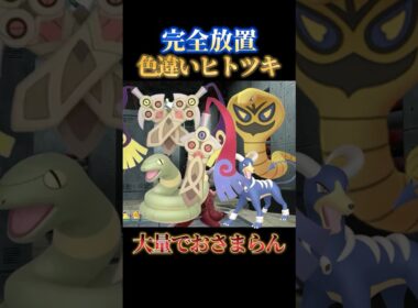 【出過ぎ注意】色違いヒトツキ、アーボ、ニダンギルを完全放置で同時にゲットできる神スポット教えます【ポケモンZA】#shorts #ポケモン #つっつー #pokemon