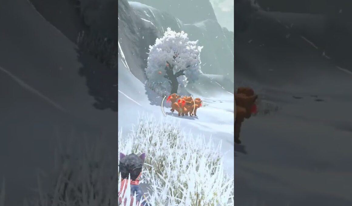 進化前可愛い、進化後美しい！色違いロコン親分【ポケモンレジェンズアルセウス】#ポケモン #pokemon #色違い #shorts