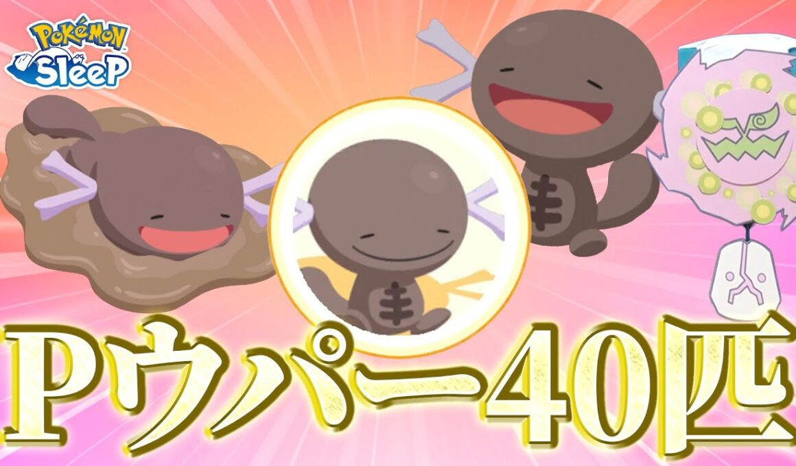 【ポケモンスリープ】料理ウィークのアンバー渓谷はPウパーがたくさん出て最高でした