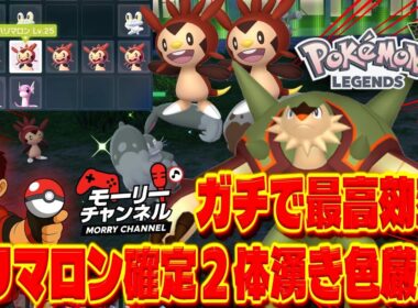 【ポケモンZA】ハリマロン色違いの超最高効率厳選方法！確定２体湧きでゲットしまくり！w #色違い厳選 #色違いハリマロン #ポケモンza #pokemonza #pokemon