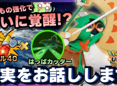 【理】愛好家に怒られる『ジュナイパー』解説動画【ポケモンユナイト】