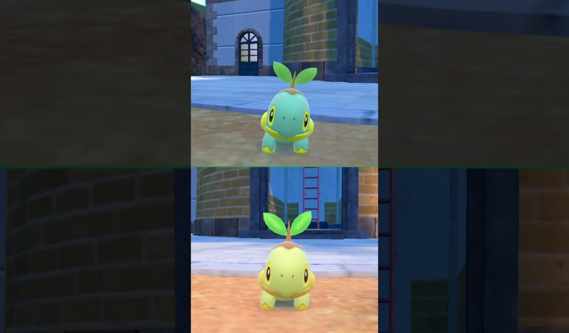 #ナエトル  #ポケモン  #turtwig  #pokemonscarletandviolet