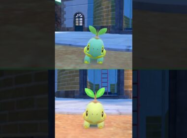 #ナエトル  #ポケモン  #turtwig  #pokemonscarletandviolet