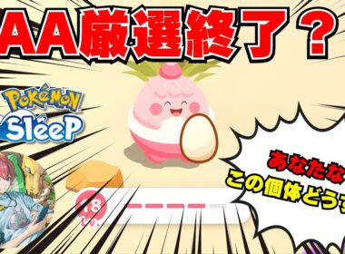 【ポケモンスリープ】デカ盛り終了...そして、アンバー帰還！AAAピンプク厳選終了？あなたなら育てる？！861日目　12/8(月)分