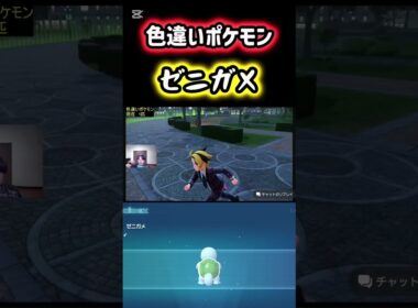 色違いポケモンのゼニガメをゲット！ #ポケモン #pokemon #ポケモンレジェンズZA #ポケットモンスター #シベリアチャンネル