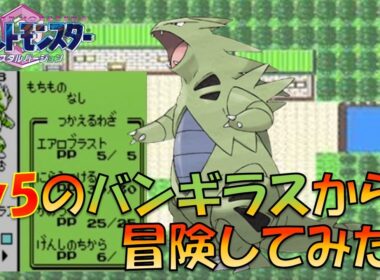 【ポケモン金銀】Lv5のバンギラスから冒険してみた！!ポケモン1匹縛りプレイ!!強化バンギラスver【ゲーム実況】【縛りプレイ】