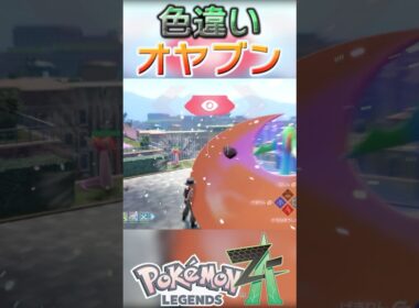 戦闘！色違いオヤブンミニリュウ #shorts