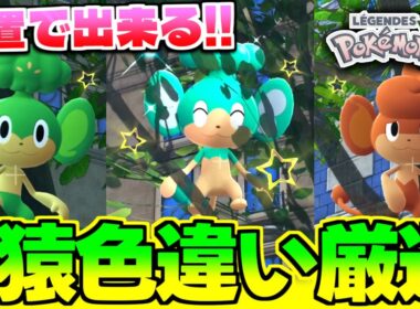 【ポケモンZA】ストーリー途中でも放置してるだけで出来る!!3DS以来やっと復帰したヤナップ、ヒヤップ、バオップが欲しい人必見の色違い厳選方法や場所を解説!!【色違いポケモン】【色違い厳選】