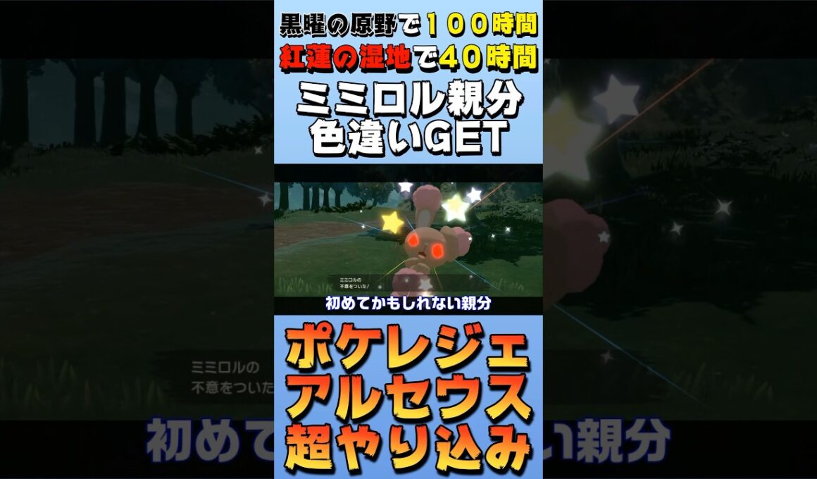 【色違い】ミミロルオヤブンの色違いを初めてゲットした日【ポケモンレジェンズアルセウス】